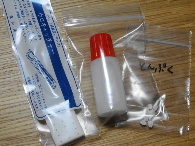 イメージ 11