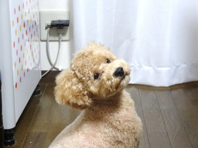 イメージ 13