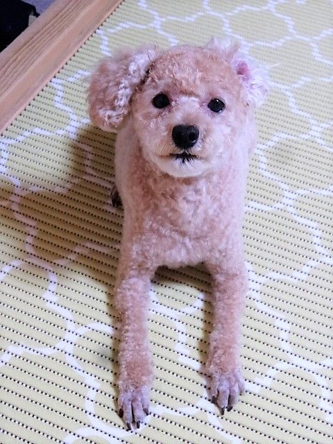 イメージ 2