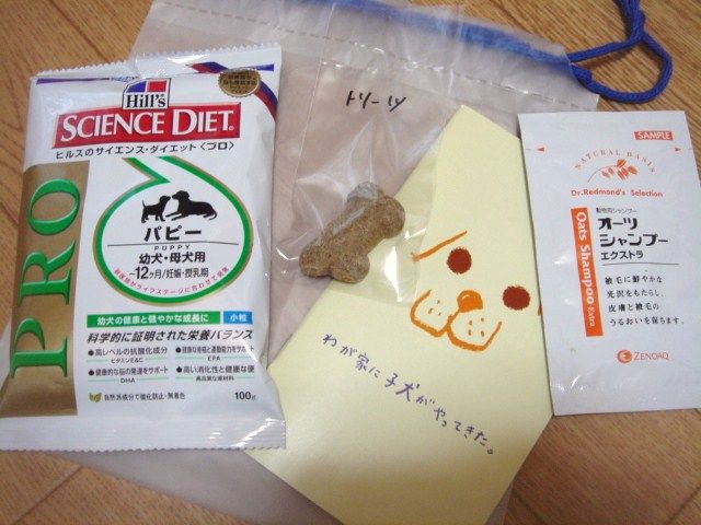 イメージ 5