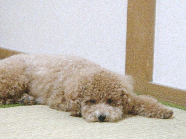 イメージ 2