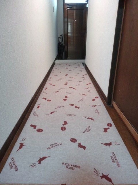 イメージ 4