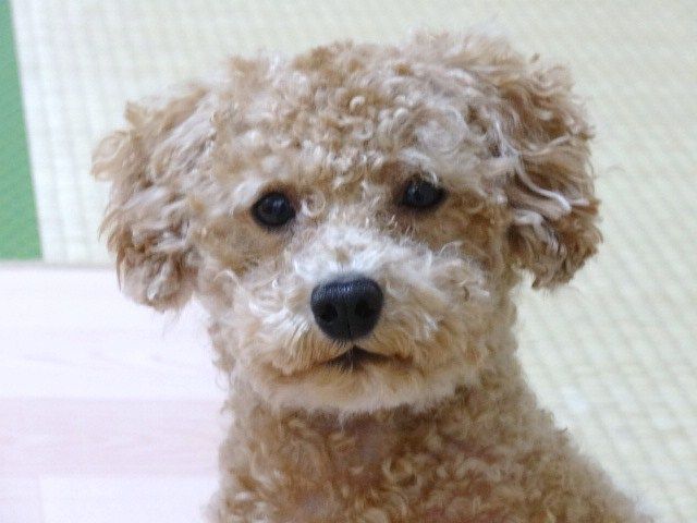 イメージ 9