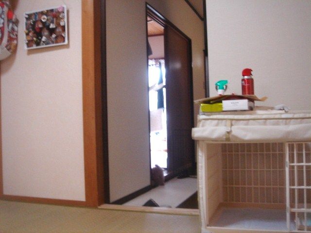 イメージ 8
