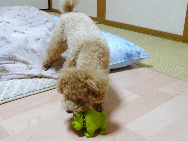 イメージ 6