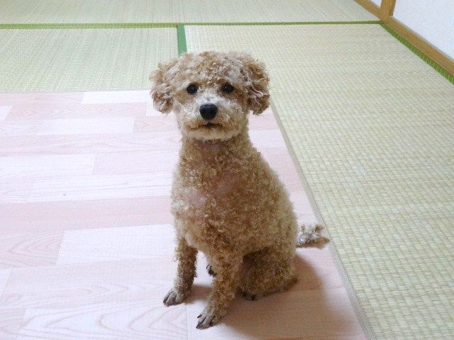 イメージ 7