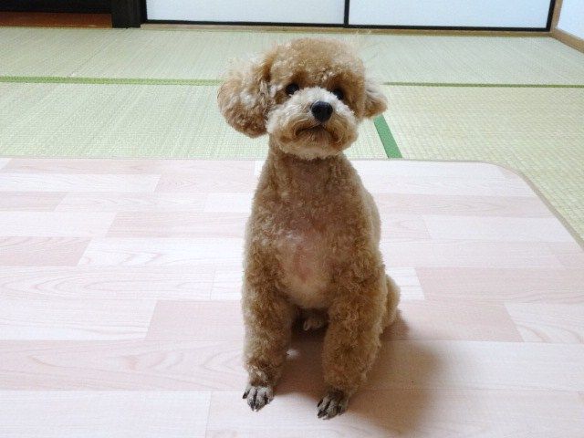 イメージ 3