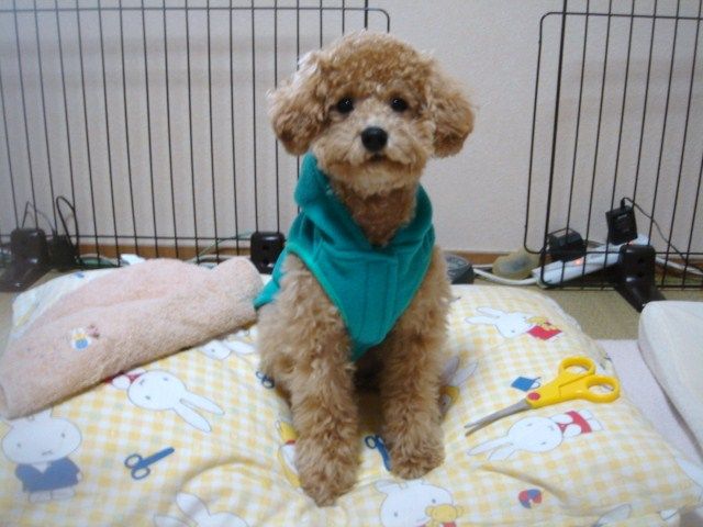 イメージ 6