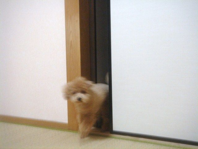 イメージ 6