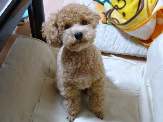 イメージ 3
