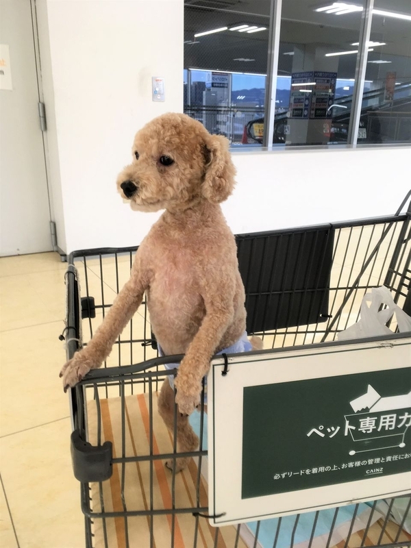 イメージ 3
