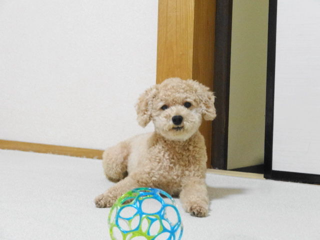 イメージ 1