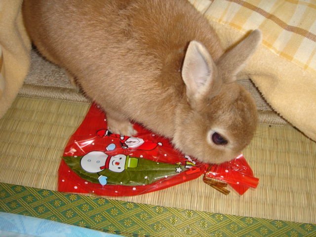 イメージ 2