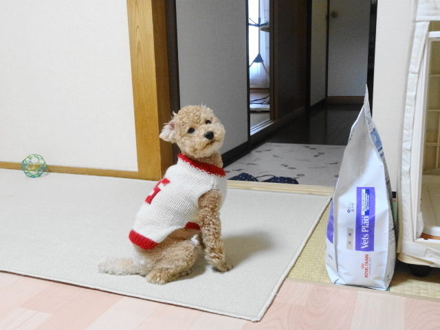 イメージ 4