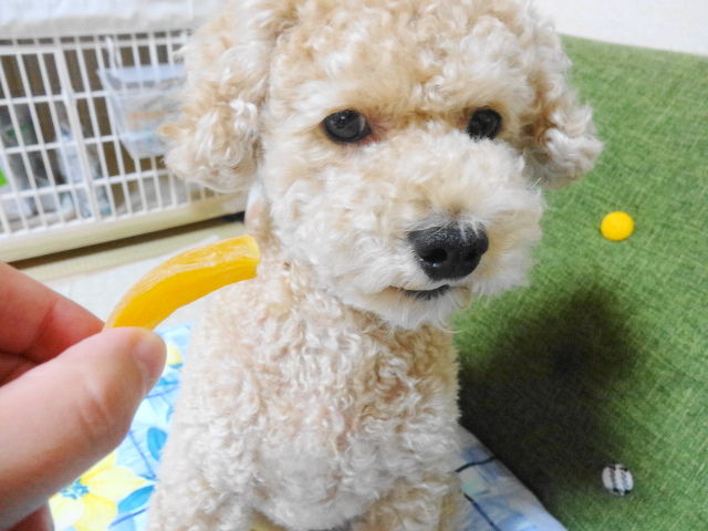 イメージ 6