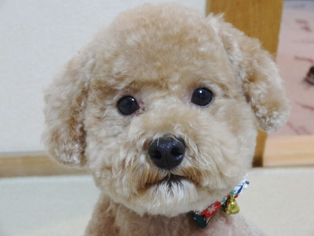 イメージ 2
