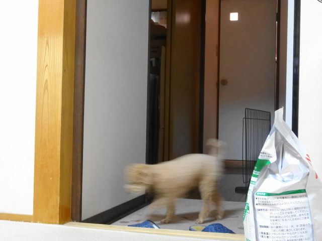 イメージ 9