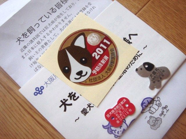イメージ 10