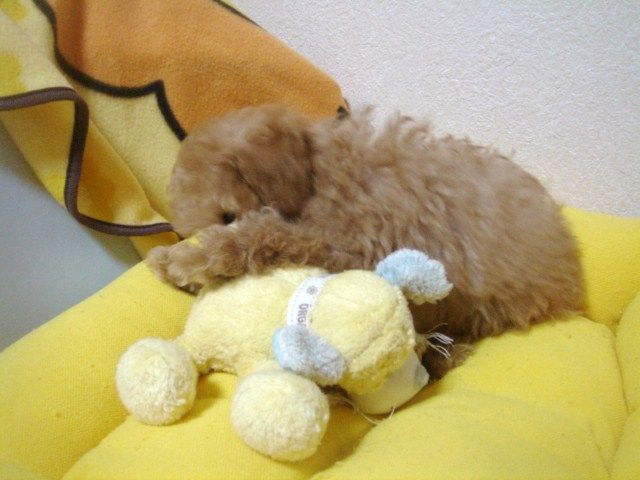 イメージ 1