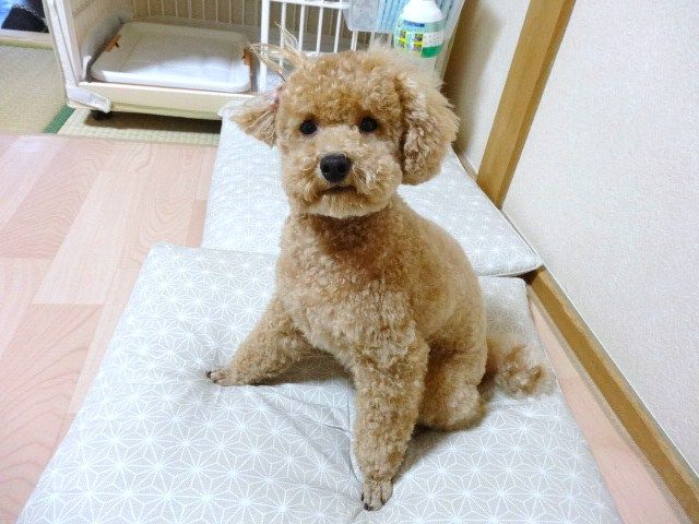 イメージ 14