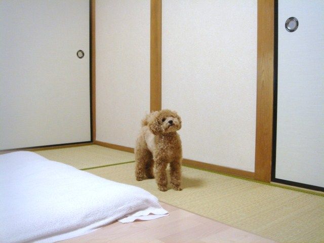 イメージ 9