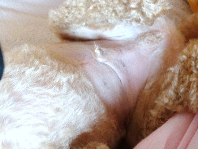 イメージ 9