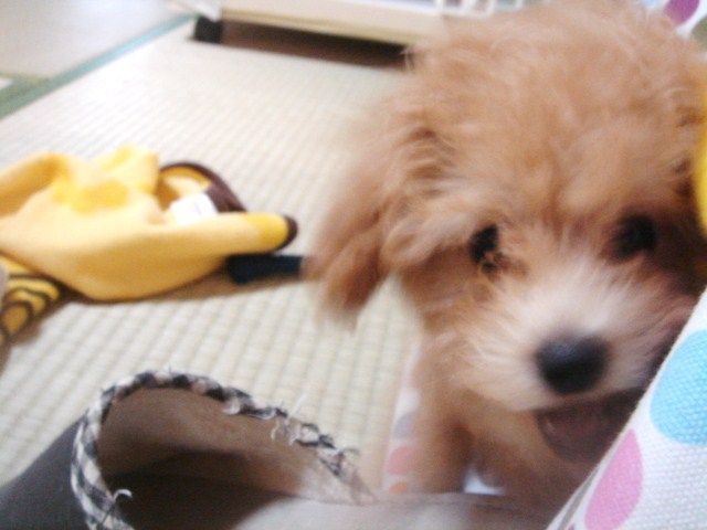 イメージ 6