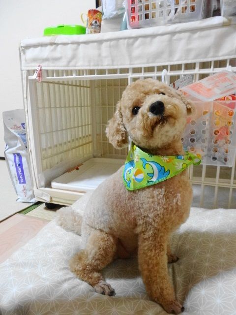 イメージ 4