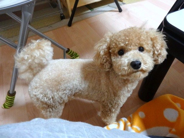 イメージ 6