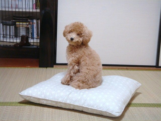 イメージ 3
