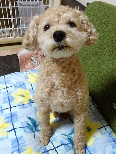 イメージ 6