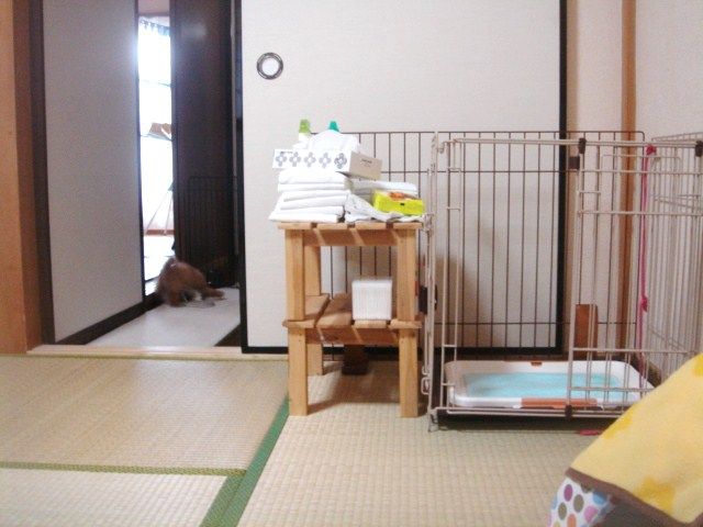 イメージ 6