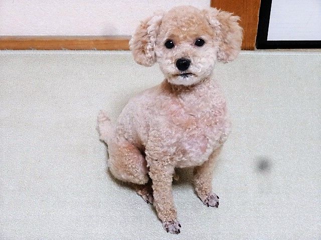 イメージ 1