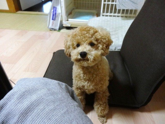 イメージ 2