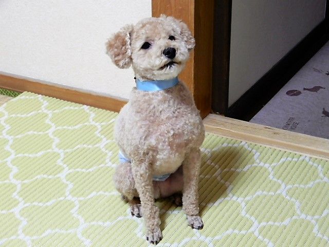 イメージ 2