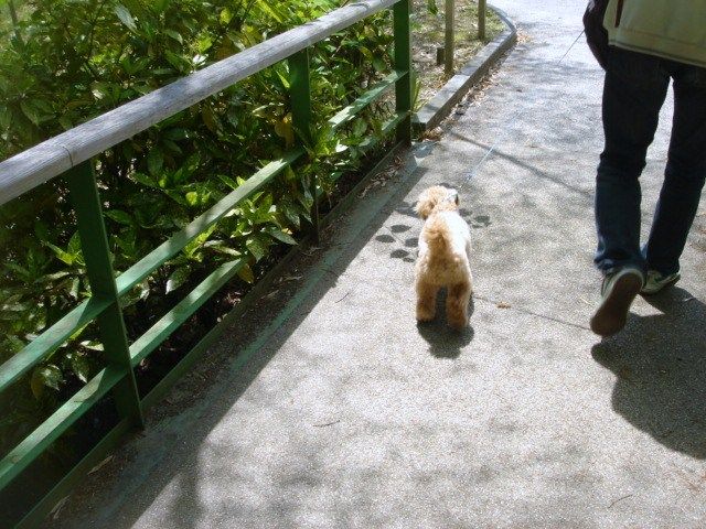 イメージ 13