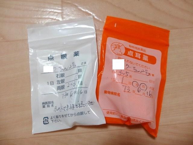 イメージ 5