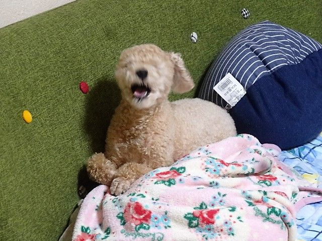 イメージ 3