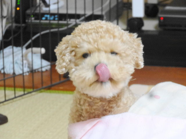 イメージ 1