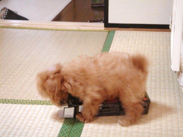 イメージ 1