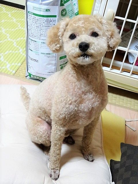 イメージ 1