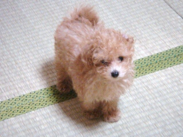 イメージ 3