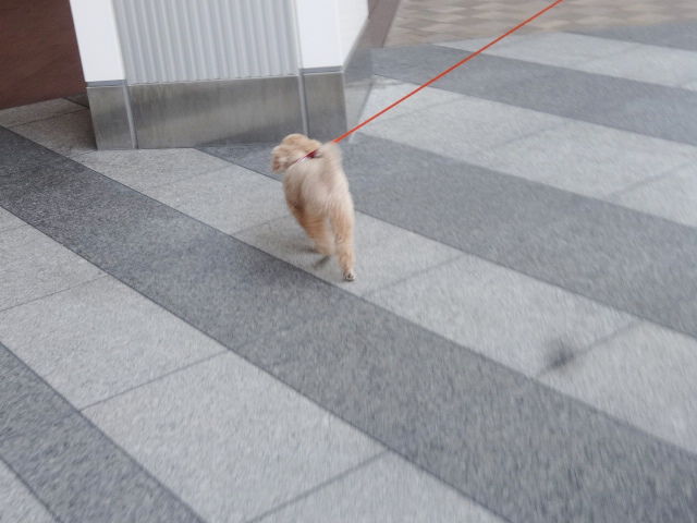 イメージ 5