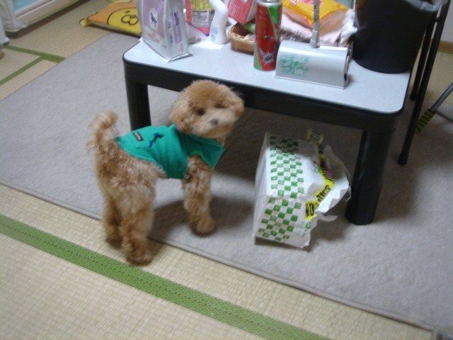 イメージ 9