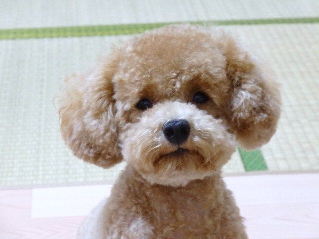 イメージ 6