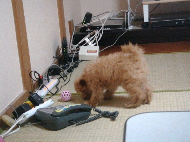 イメージ 8