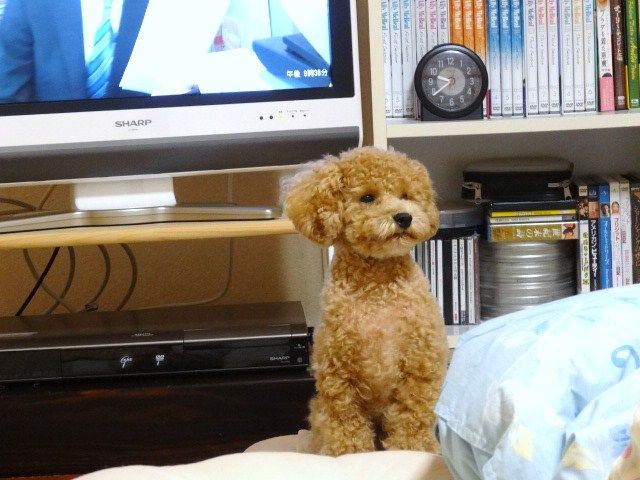 イメージ 2