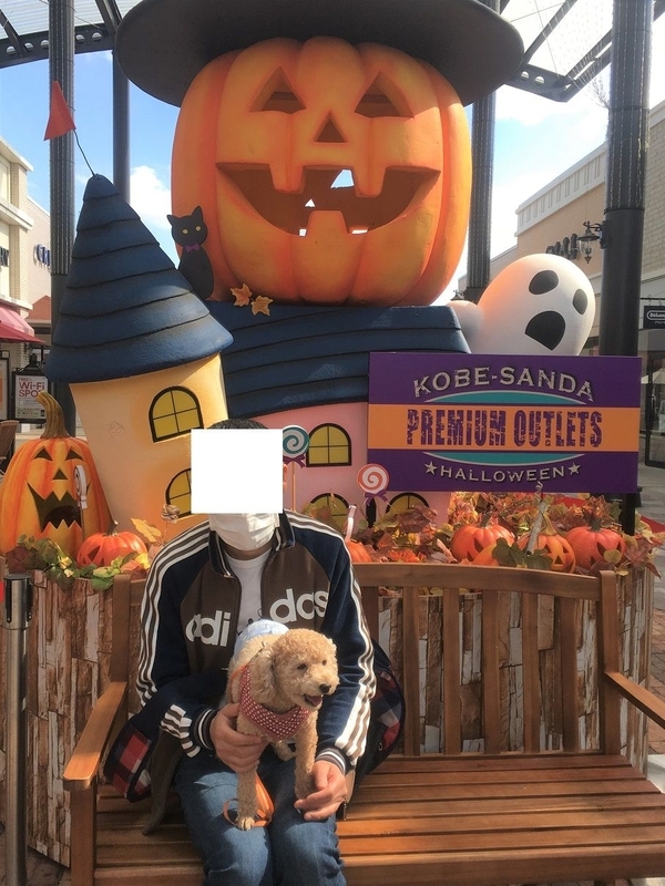 イメージ 5