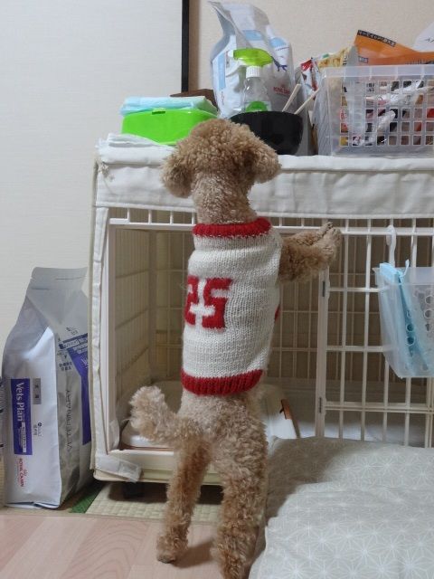 イメージ 3