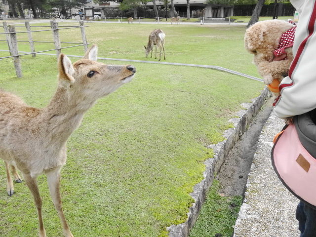 イメージ 6